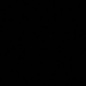 Meet your Posher, Tayler